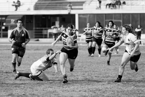 Top 14 du rugby à XV : secrets et enjeux dévoilés