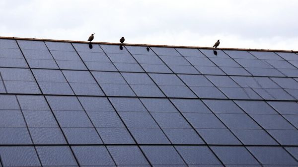 Top raisons pour adopter un panneau solaire photovoltaïque maintenant